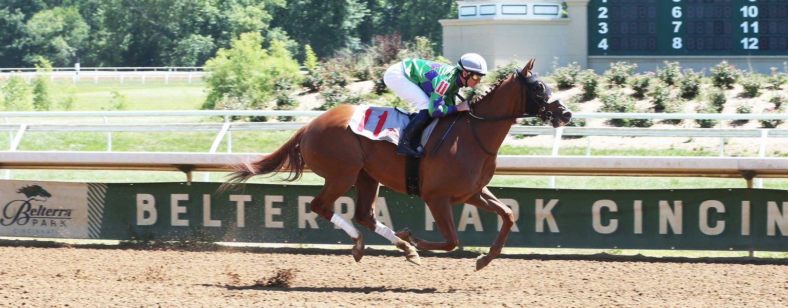About the Ohio Thoroughbred Race Fund - OTBO